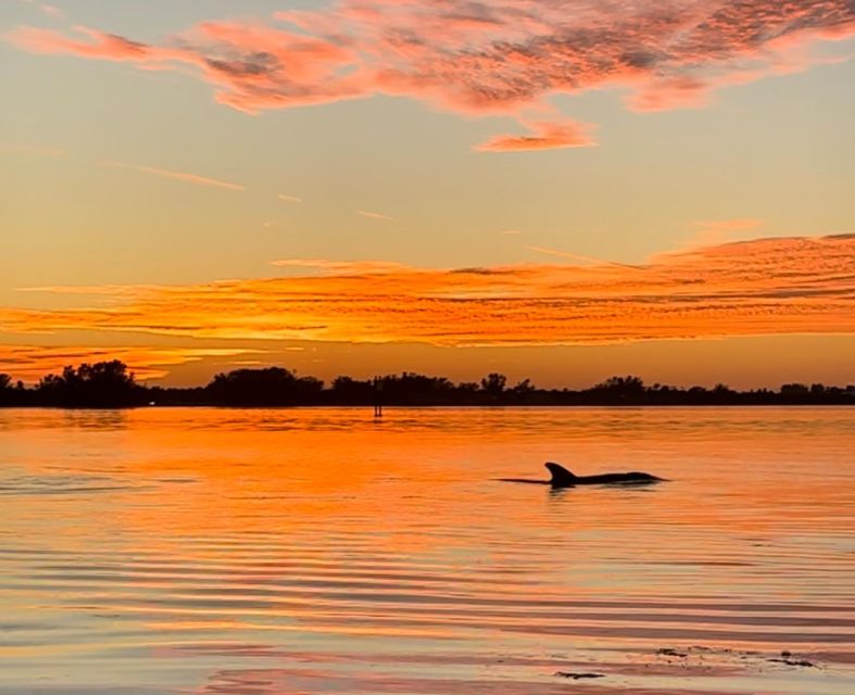Anna Maria Island and Bradenton: Sunset Kayak Dolphin Tour - Kayaking Details