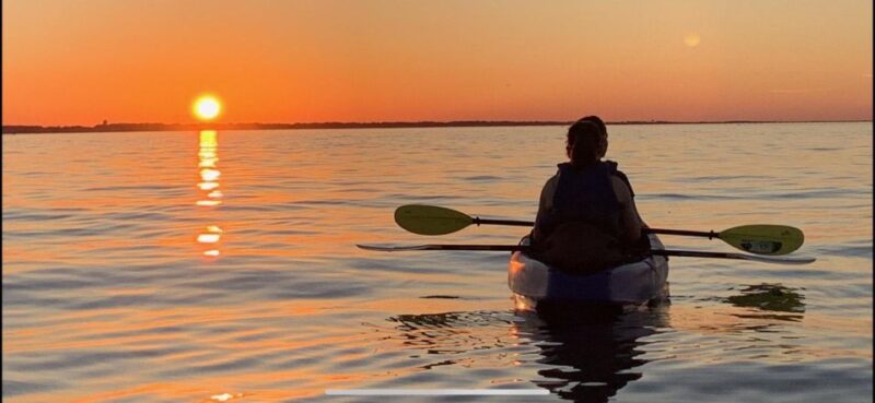 Anna Maria Island and Bradenton: Sunset Kayak Dolphin Tour - What to Bring
