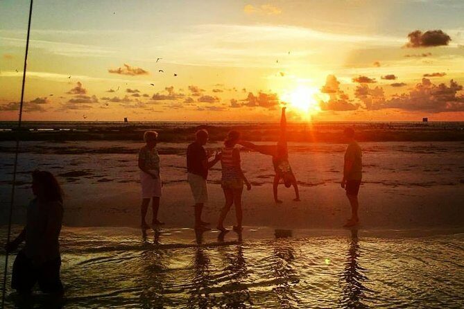 Anna Maria Island Dolphin Sunset Boat Tour - Key Points