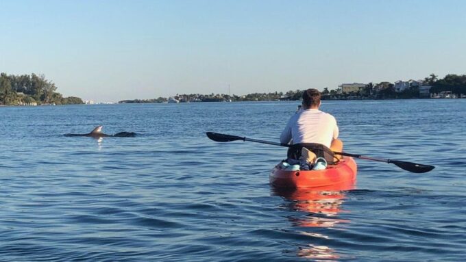 Anna Maria Island: The Island Kayak Tour - Equipment and Gear