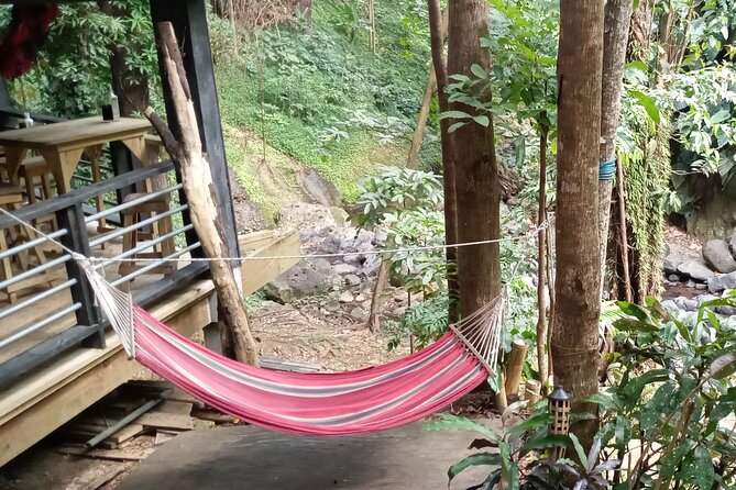 Annandale Waterfall & Forest Park - Additional Nearby Attractions