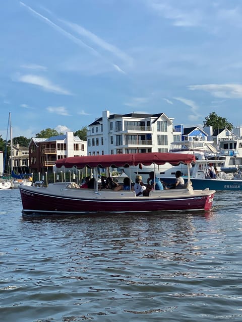 Annapolis: Electric Boat Rental - Duffy Sun Cruiser - 10ppl - Why Choose Duffy Boat Rental