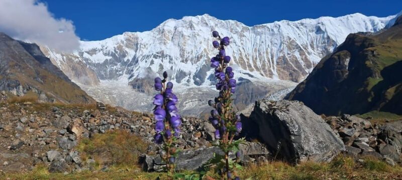 Annapurna Base Camp : 7-Day Moderate Round Trek. - What to Bring