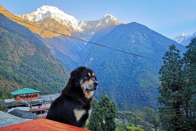 Annapurna Base Camp Trek - Packing and Preparation