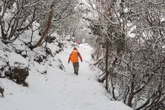 Annapurna Base Camp Trek 5 Days - Day-by-Day Itinerary
