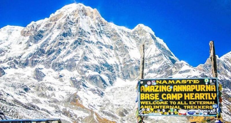Annapurna Base Camp Trek 8 Days - Trekking Experience and Scenery