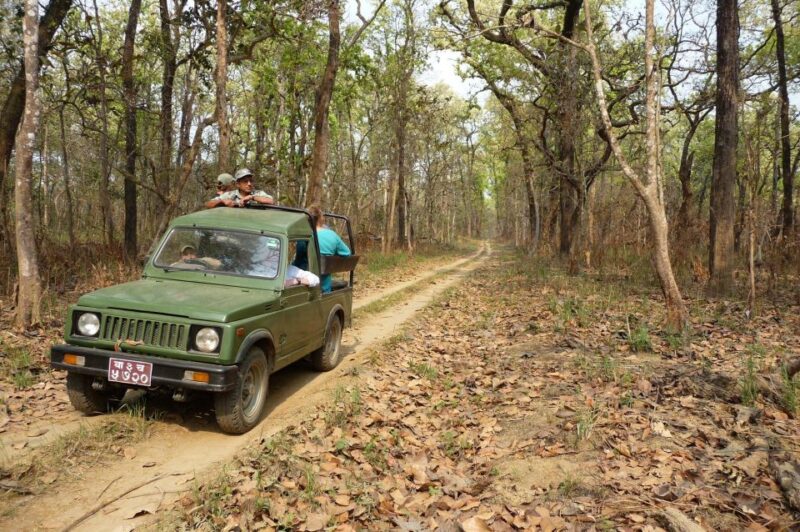 Annapurna Base Camp Trek and Chitwan Jungle Safari - 15 Days - Drive to Pokhara