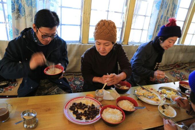 Annapurna Base Camp Trek and Chitwan Jungle Safari - 15 Days - Chitwan Jungle Safari