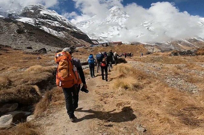 Annapurna Base Camp Trek from Pokhara and Kathmandu - Authentic Experiences and Reviews