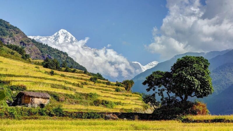 Annapurna Base Camp Trek From Pokhara - Necessary Gear