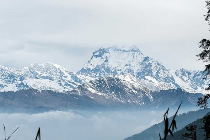 Annapurna Base Camp With Poon Hill 9-Day Trek Itinerary - Transportation and Logistics