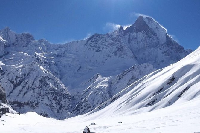Annapurna Basecamp Helicopter Landing Tour From Pokhara - Reviews and Customer Feedback