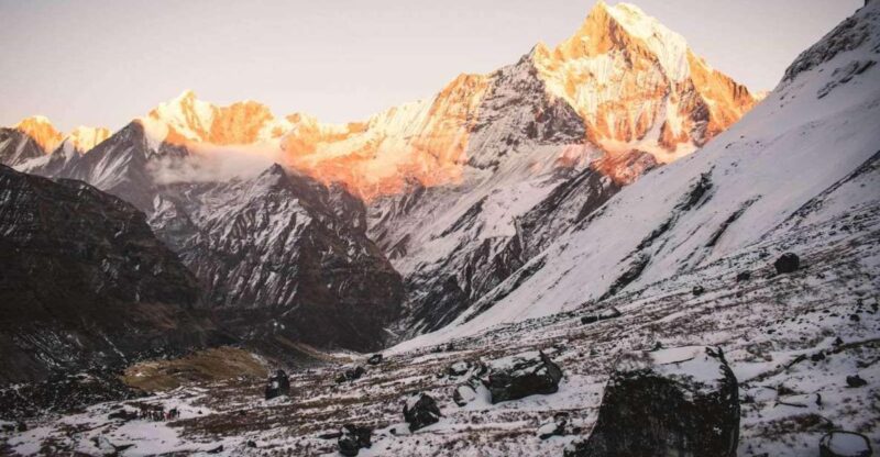 Annapurna Basecamp Luxury Trekking - Meals and Dining Options