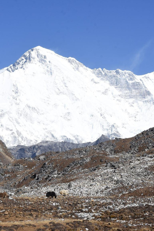 Annapurna Circuit Short Trek - 12 Days - Trekking Experience