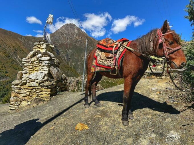 Annapurna Circuit Trek - 14 Days - Trek Inclusions and Exclusions