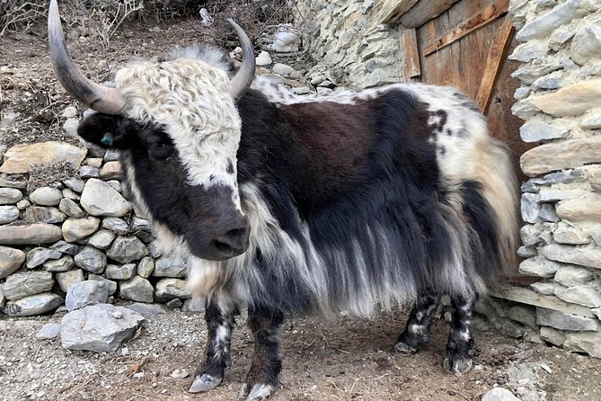 Annapurna Circuit Trek - Personal Expenses
