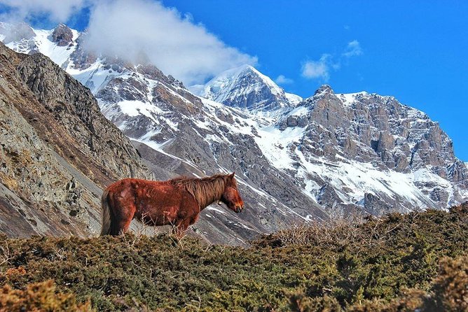 Annapurna Circuit Trek With Heritage Highlights - Discovering Cultural Gems Along the Trek