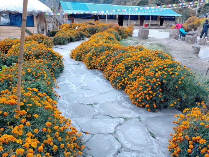 Annapurna High Pass Trek: 9-Day Adventure - Getting There and Away