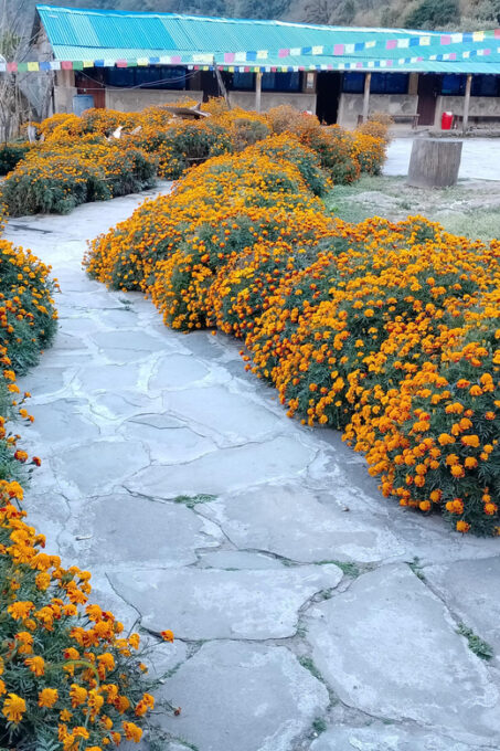 Annapurna High Pass Trek: 9-Day Adventure - What to Expect