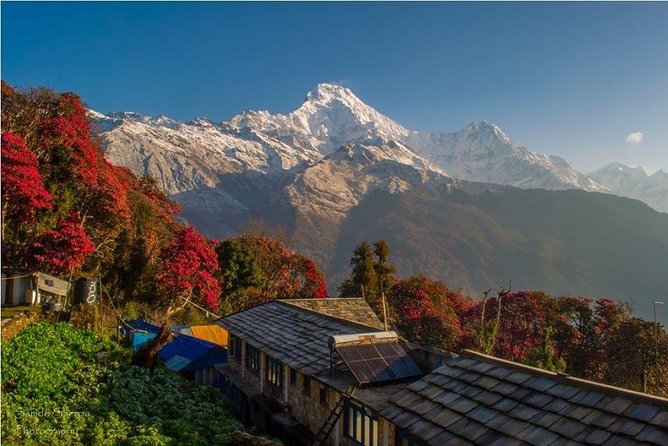 Annapurna Khopra Ridge - Highlights of the Journey