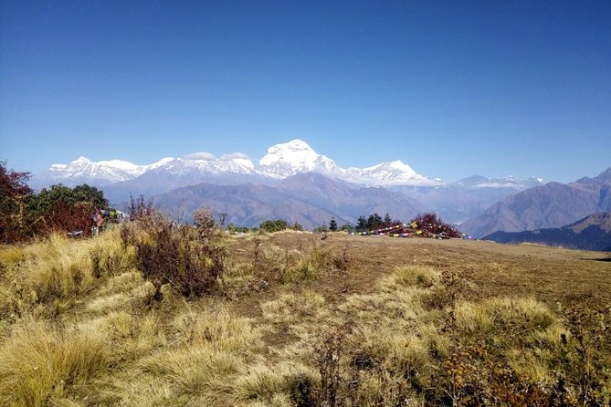 Annapurna Sunrise Trek - Good To Know