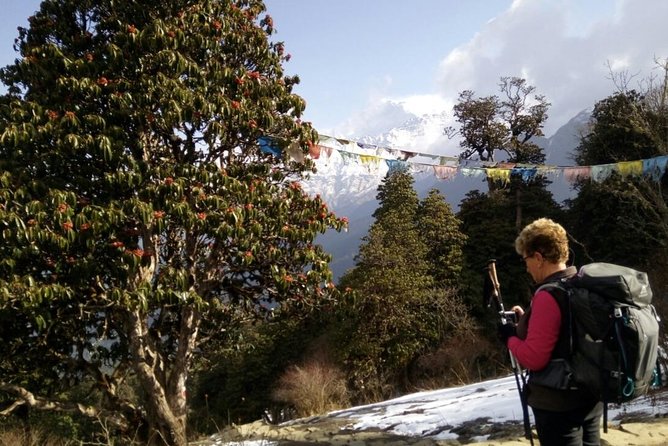 Annapurna Sunrise Trek - Scenic Journey to Pokhara