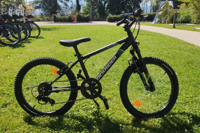 Annecy-le-Vieux, France: Electric and Muscle Bike Rentals - Rental Duration Choices