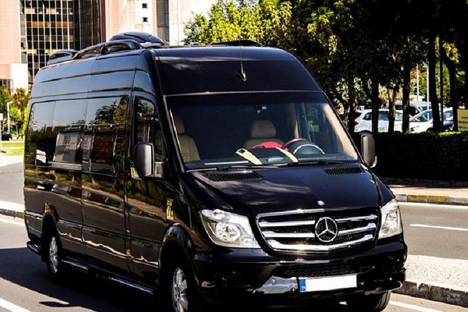 Antalya Airport (AYT) to Gundogdu Transfer - Private Minibus - Service Overview