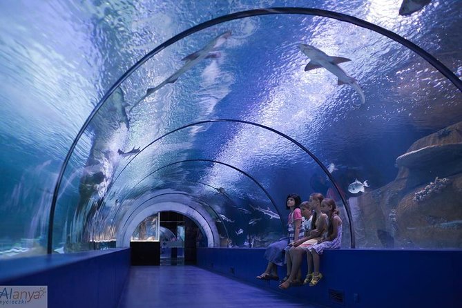 Antalya Aquarium Admission With Optional City Tour and Duden Waterfall From Side - Aquarium Experience