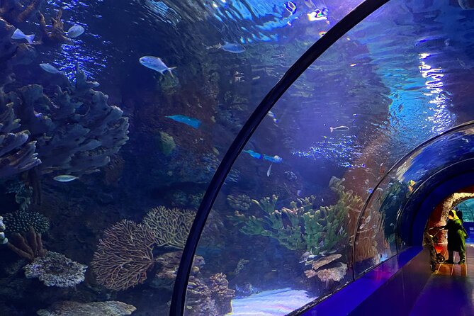 Antalya Aquarium and Face to Face Wax Museum Private Transfer - Getting the Most Value