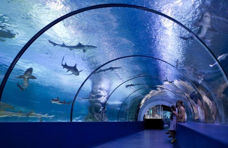 Antalya: Aquarium Entrance Ticket & Optional Transfer - Frequently Asked Questions