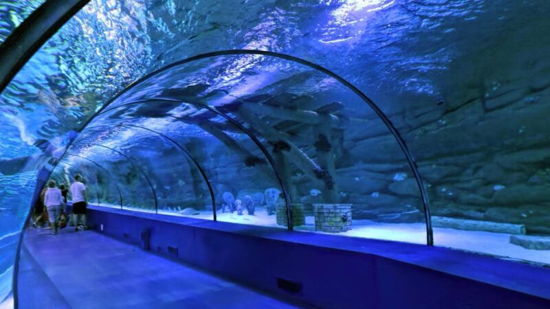 Antalya Aquarium & Face2Face Wax Museum & Shopping - Face2Face Wax Museum