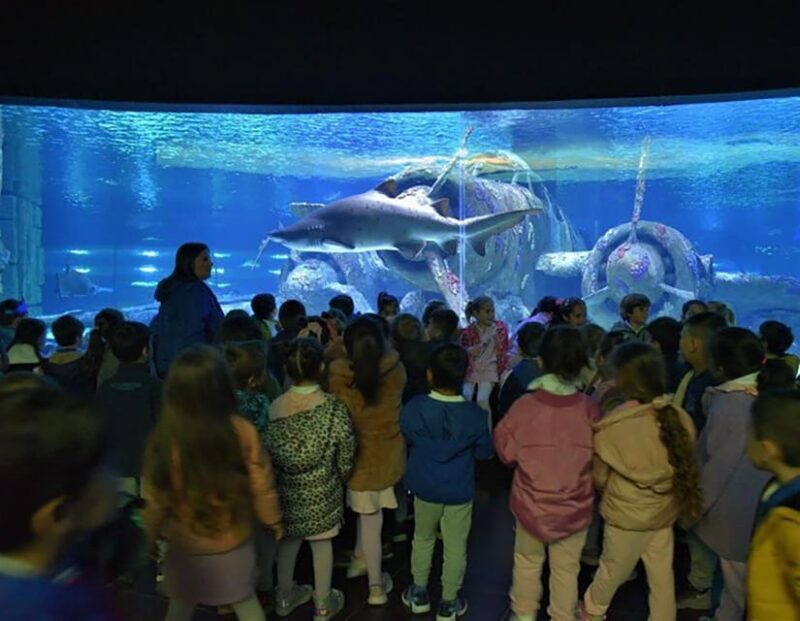 Antalya Aquarium Tour Include Transfer: Alanya,Side,Antalya - Aquarium Experience Highlights