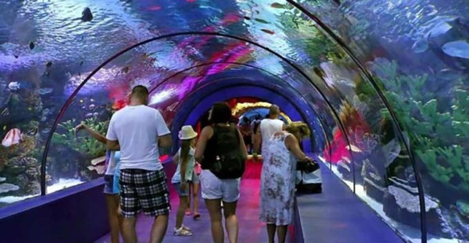 Antalya Aquarium Tour Include Transfer: Alanya,Side,Antalya - Convenient Hotel Pickup and Drop-off