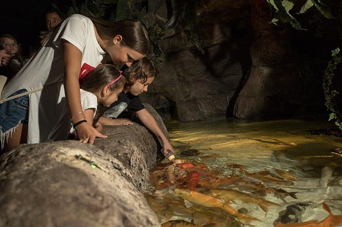 Antalya Aquarium Tour Platinium Tour - Pricing and Value Proposition