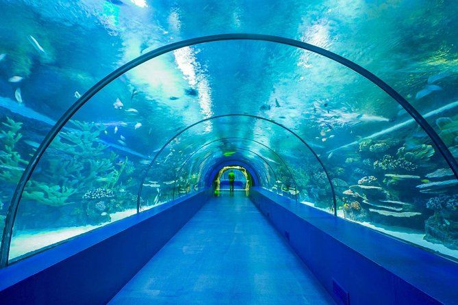Antalya Aquarium Tour Platinium Tour - About the Tour Company
