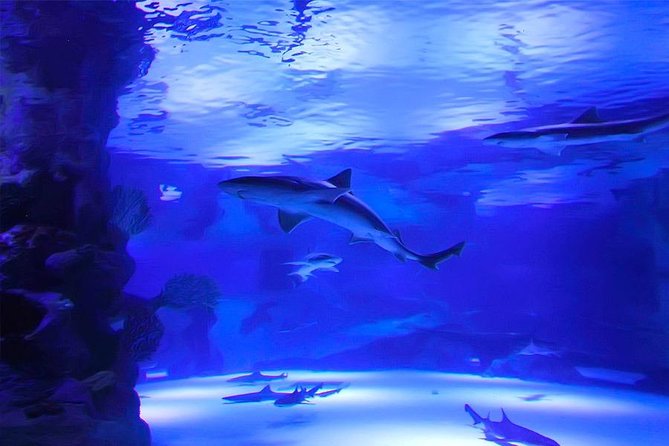 Antalya Aquarium Tour Platinium Tour - Customer Satisfaction Commitment
