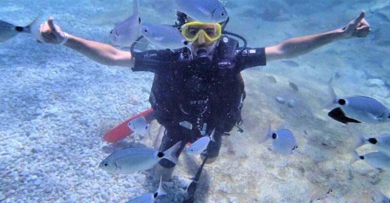 Antalya/ Belek: Scuba Diving Tour With 2 Time Dive & Lunch - Key Points