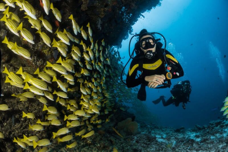 Antalya/ Belek: Scuba Diving Tour With 2 Time Dive & Lunch - Diving Experience for Beginners