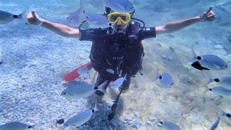 Antalya/ Belek: Scuba Diving Tour With 2 Time Dive & Lunch - Deeper Dive Exploration