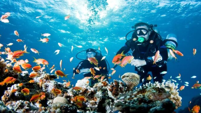 Antalya/ Belek: Scuba Diving Tour With 2 Time Dive & Lunch - Cancellation and Payment Options