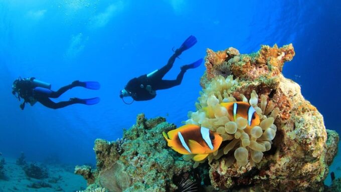 Antalya/ Belek: Scuba Diving Tour With 2 Time Dive & Lunch - Customer Feedback and Ratings