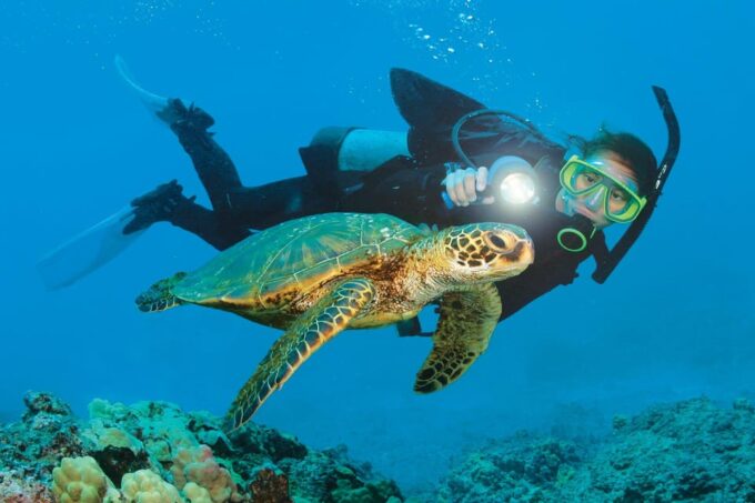 Antalya/ Belek: Scuba Diving Tour With 2 Time Dive & Lunch - Frequently Asked Questions