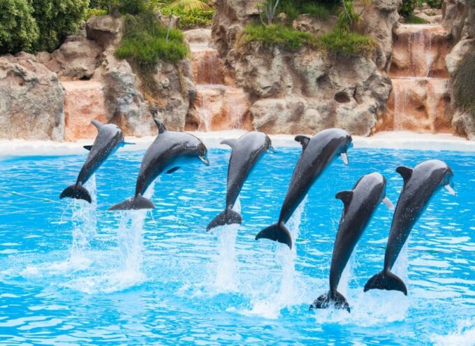 Antalya/Belek: the Land of Legends Theme Park With Transfer - Inclusions and Exclusions