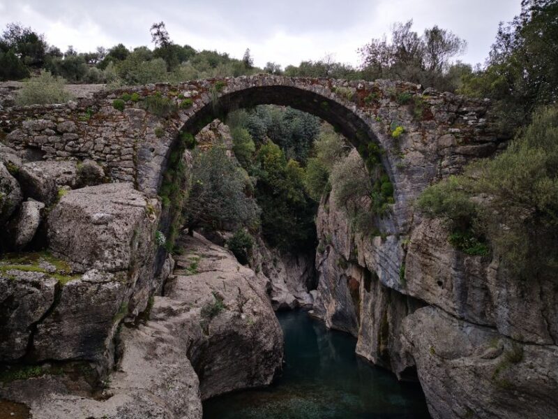 Antalya: Buggy Safari & Rafting Combo Tour at Koprulu Canyon - Breaks and Amenities