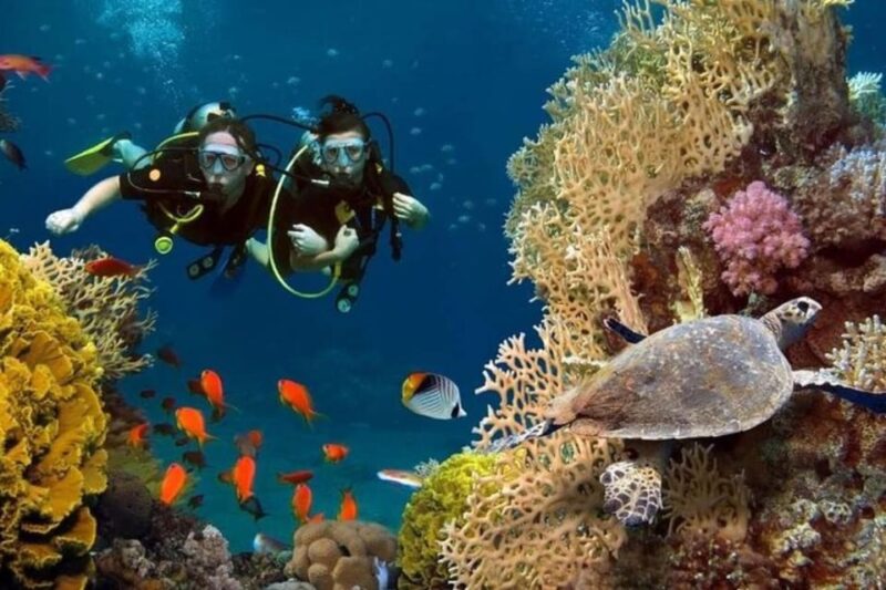 Antalya Exotic & Colourful Diving Tour - Key Points
