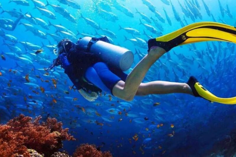 Antalya Exotic & Colourful Diving Tour - Inclusions and Exclusions