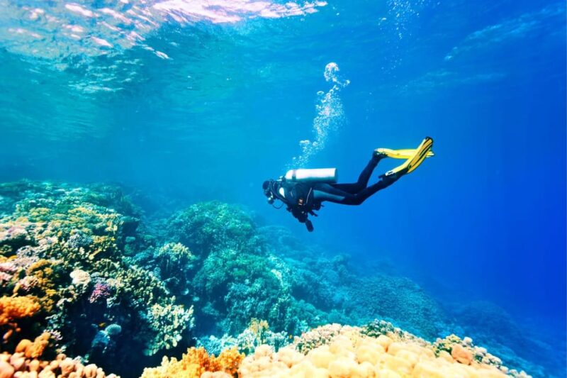 Antalya Exotic & Colourful Diving Tour - Booking Information