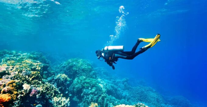 Antalya Exotic & Colourful Diving Tour - Dive Into Warm Waters