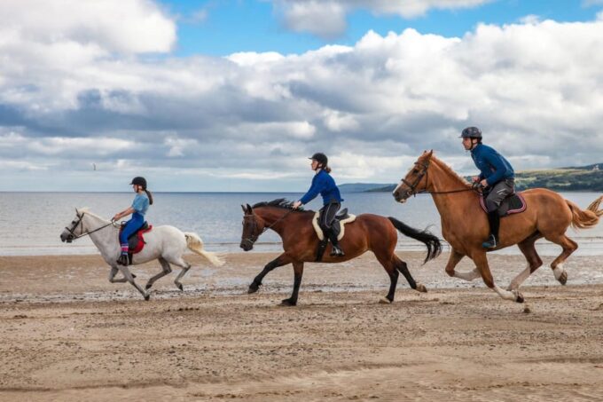 Antalya: Guided ATV and Horse Riding Safari in Lara - Booking and Cancellation